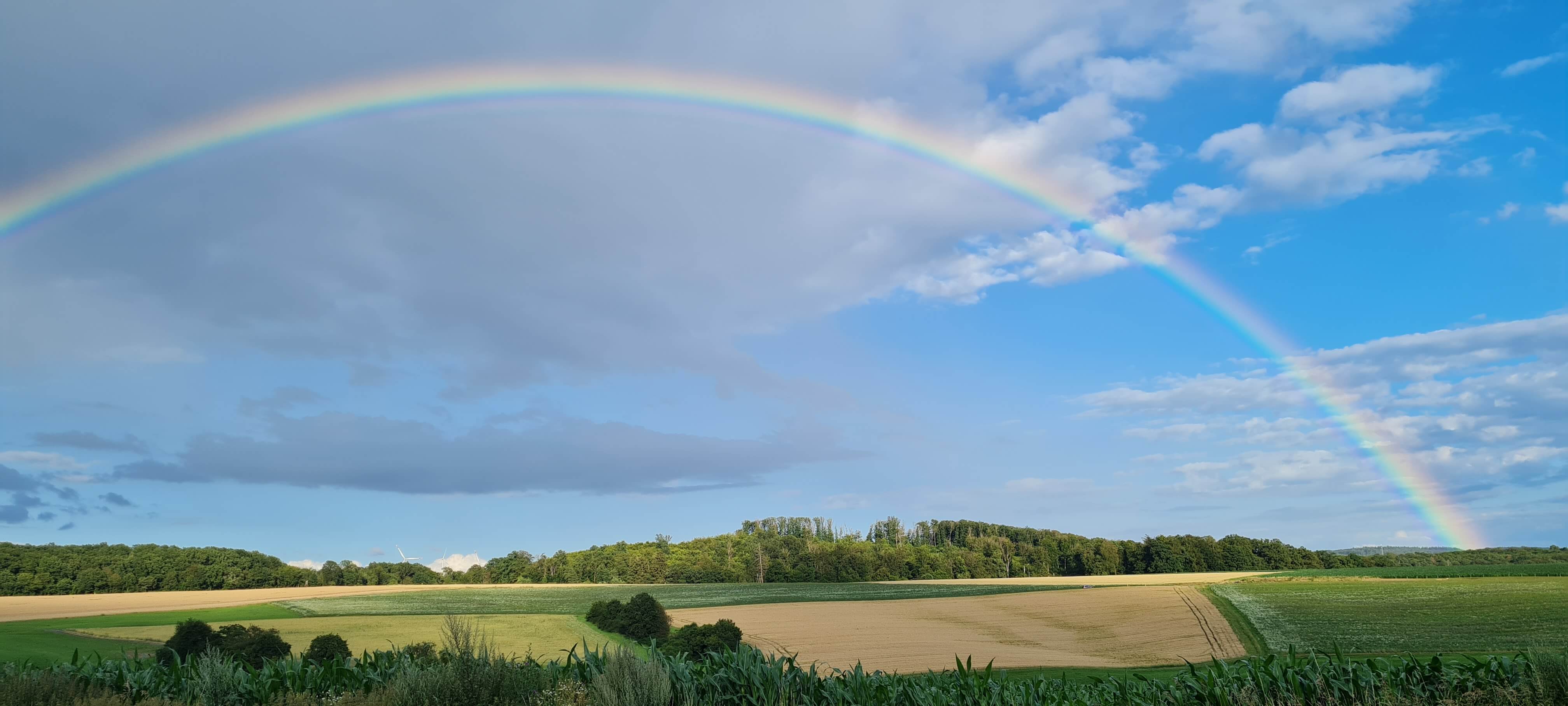 Landschaft